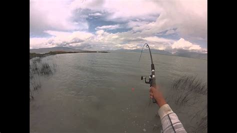 Utah Lake Fishing Youtube