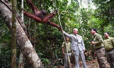 Raja Charles Iii Hidap Kanser Istana Buckingham Borneo Network