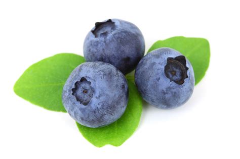 Blueberry - Fruit Photo (34733311) - Fanpop