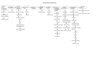 Proceso General De Importacion PPT