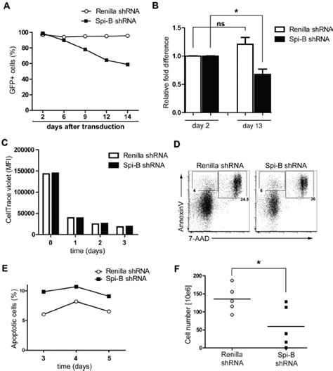 Spi B Is Required For Cal Cell Survival And Proliferation A Cal