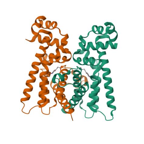 RCSB PDB 5FGL Co Crystal Structure Of NicR2 Hsp