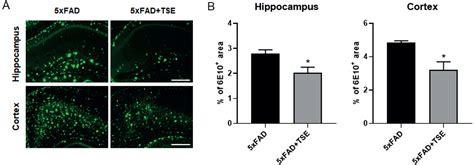 Trichosanthis Semen Exerts Neuroprotective Effects In Alzheimers