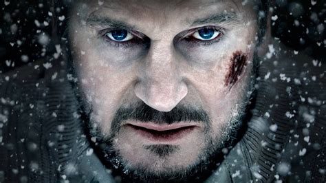 Man's face, movies, The Grey, Liam Neeson, snow HD wallpaper | Wallpaper Flare