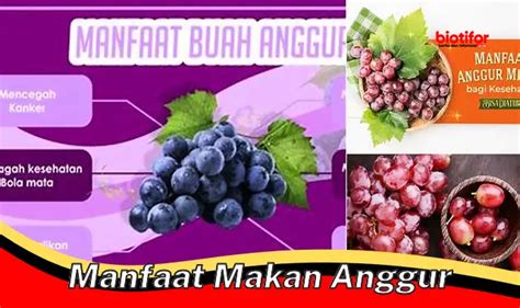 Temukan 5 Manfaat Makan Anggur Yang Jarang Diketahui Biotifor