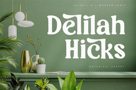 Scintilla - Modern Serif Font - So Fontsy