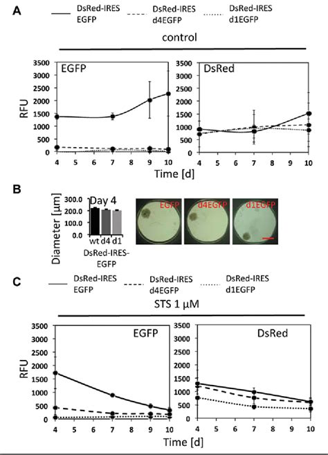 Figure 1 From A High Throughputcompatible 3d Microtissue Co Culture