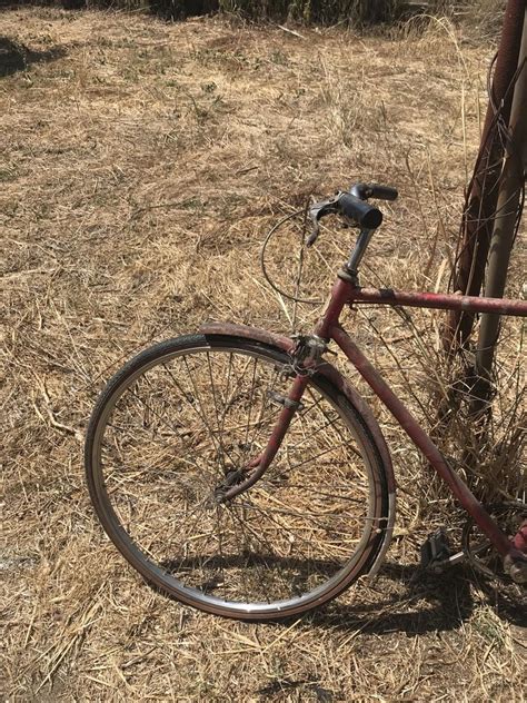 Bicicleta Classica Vila Nova Da Barquinha OLX Portugal