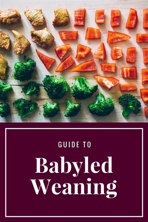 The Ultimate Guide To Baby Led Weaning With Broccoli And Carrots