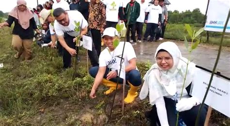 Lestarikan Ekosistem Pesisir Pelindo Multi Terminal Spmt Tanam