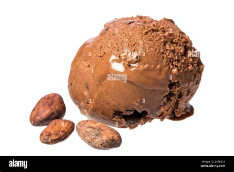 Real Cocoa Bean Hi Res Stock Photography And Images Alamy