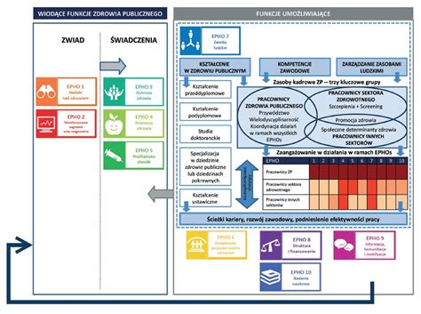 Funkcja Zdrowia Publicznego Epho Profibaza Pzh