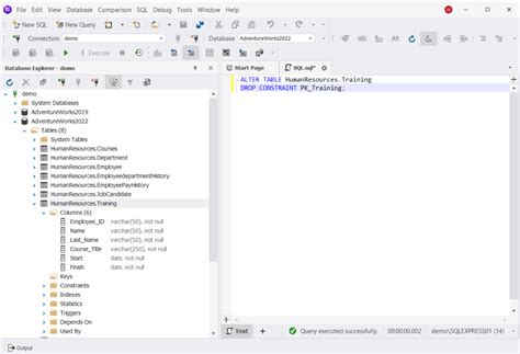 Primary Keys In Sql Server Definition Syntax Examples Devart Blog