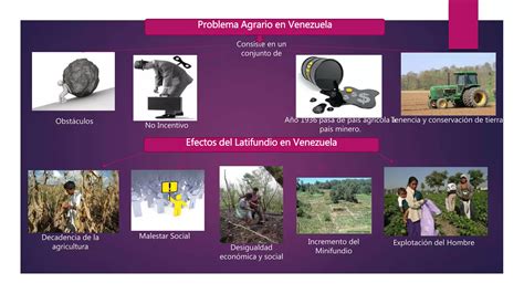 Mapa Mental Derecho Agrario Ppt