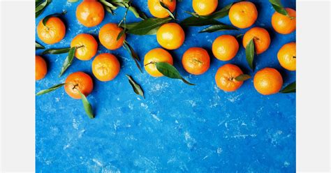 Citrus Exports From Turkey Soared In 2023