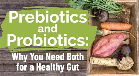 Prebiotics And Probiotics Why You Need Both For A Healthy Gut