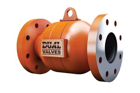 Check Valves Dual Valves