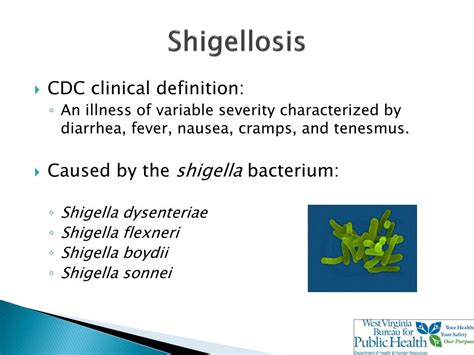 Ppt Shigellosis Outbreak Kanawha County Fall 2010 Powerpoint Presentation Id284604