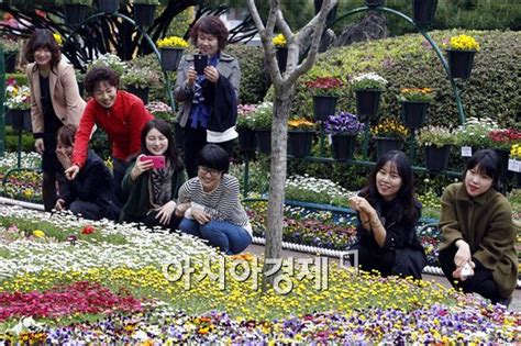 포토 광주시 북구청 광장으로 꽃구경오세요 아시아경제