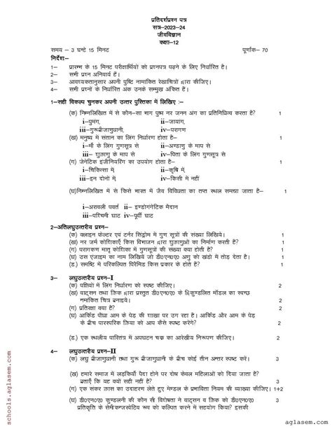 Up Board Class 12 Biology Model Paper 2024 Free Pdf Download