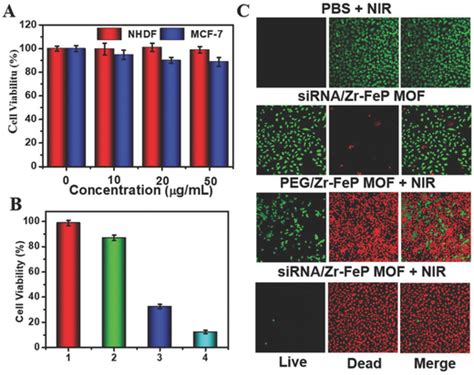 A Cell Viability Of NHDF And MCF7 Cells Incubated With Various