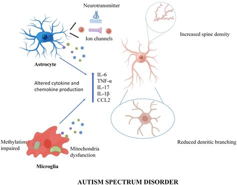 Frontiers Microglia And Astrocytes Underlie Neuroinflammation And