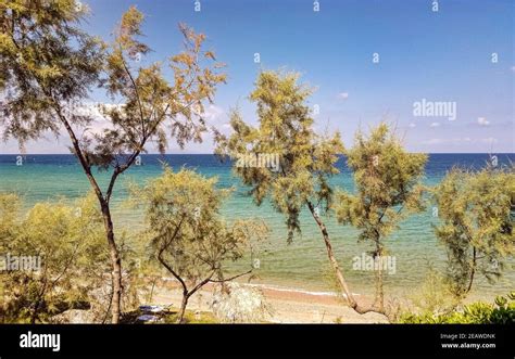 Greek Coastline Zakynthos Zante Island Greece Stock Photo Alamy