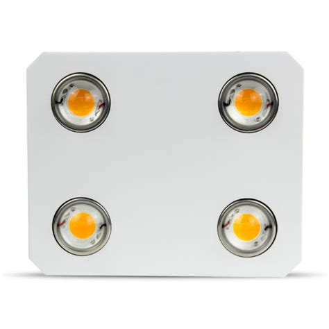 China Citizen Clu Full Spectrum K Cob Dule Switches Led