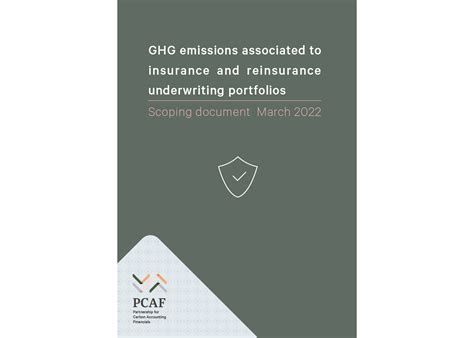 Public Consultation On Insurance Associated Emissions Scoping Document