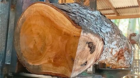 Sawing Old Mahogany Logs Into Beautifully Grained Planks YouTube