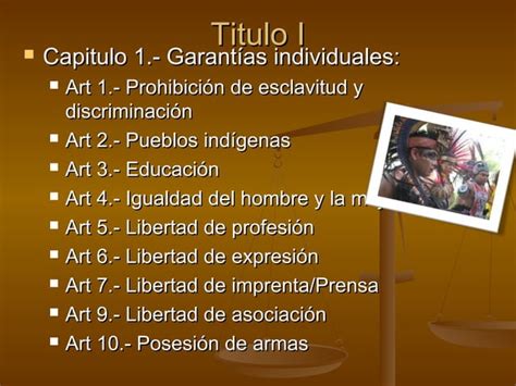 Partes de la constitución PPT