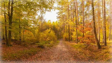 Herbst Panorama II Oktober 2022 G Th Flickr