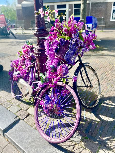 fahrräder in amsterdam Der smarte Lifestyle Blog Ü50