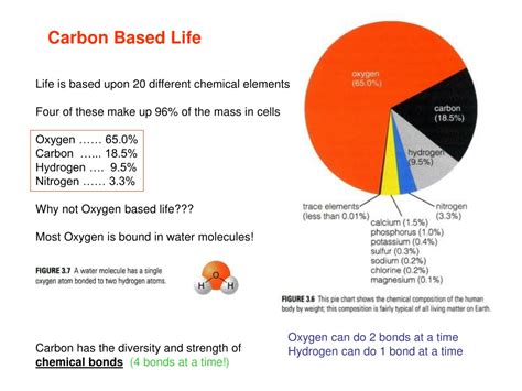 Ppt Carbon Based Life Powerpoint Presentation Free Download Id9515049