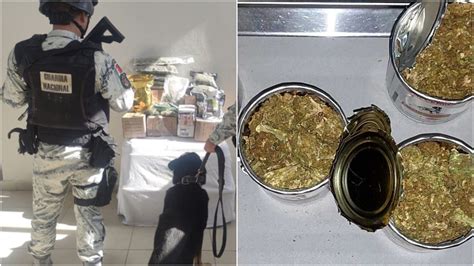 Latas De Comida Para Perro Y Bolsas Al Vacío Así La Gn Encontró 130 Paquetes De Marihuana Infobae