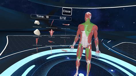 Human Anatomy Vr Price