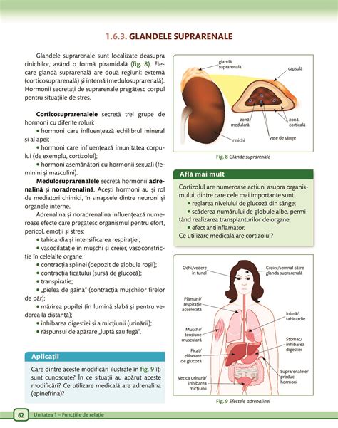 Biologie Pentru Clasa A Vii A A Pdf Pag