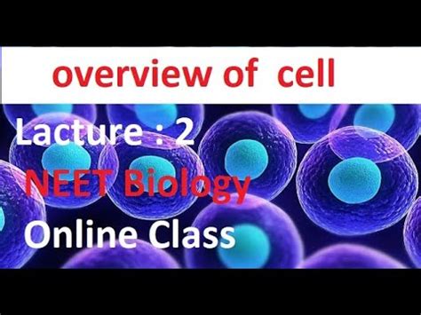 Cell Unit Of Life Overview Of Cell DAY 2 Date 27 March Neet Biology