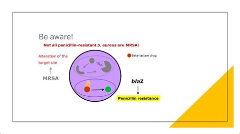 Multidrug Resistant Organisms 1 Youtube