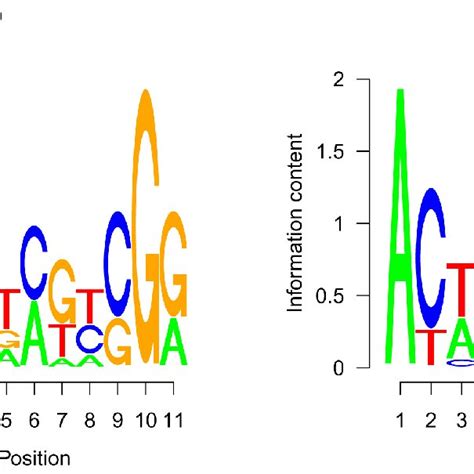 Predicted Motifs Of The Cooperative And Competitive Binding Sites The