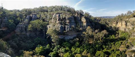 Ferntree Gully Circuit Near Rylstone Nsw Hiking Scenery