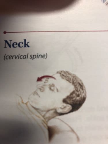 Cervical Spine Actions Flashcards Quizlet