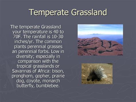 Biomes Summary Chart For Teachers Ppt Download