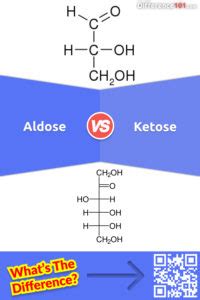 Aldose vs. Ketose: 7 Key Differences, Pros & Cons, Examples ...