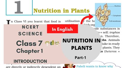 Class 7 Chapter 1 Science NCERT Nutrition In Plants Part 1 Cells