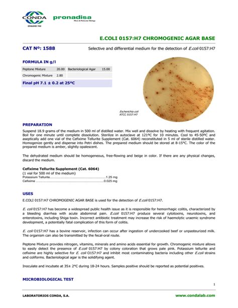 E COLI 0157 H7 CHROMOGENIC AGAR BASE CAT Nº 1588 E coli