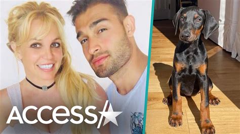 Britney Spears Fiancé Sam Asghari Surprises Her W New Puppy Youtube