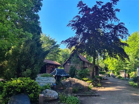 BVG Route 200: Zoologischer Garten to Michelangelostrasse 21