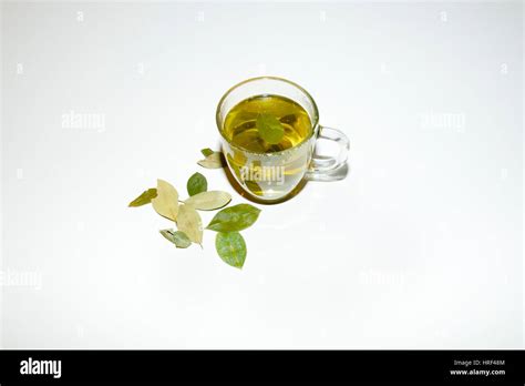 Coca Leaf Tea Stock Photo - Alamy