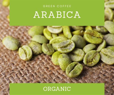 Arabica Organic Coffee Beans Africa